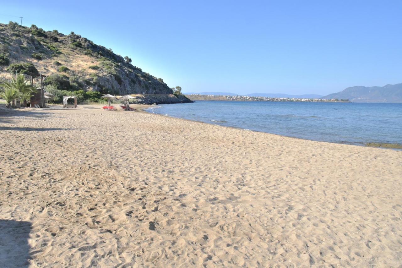 Aegina Marathona'S Apartment מראה חיצוני תמונה